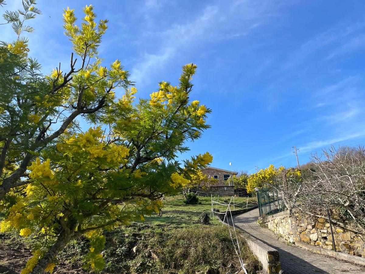 Agriturismo Le Mimose Imperia Eksteriør bilde