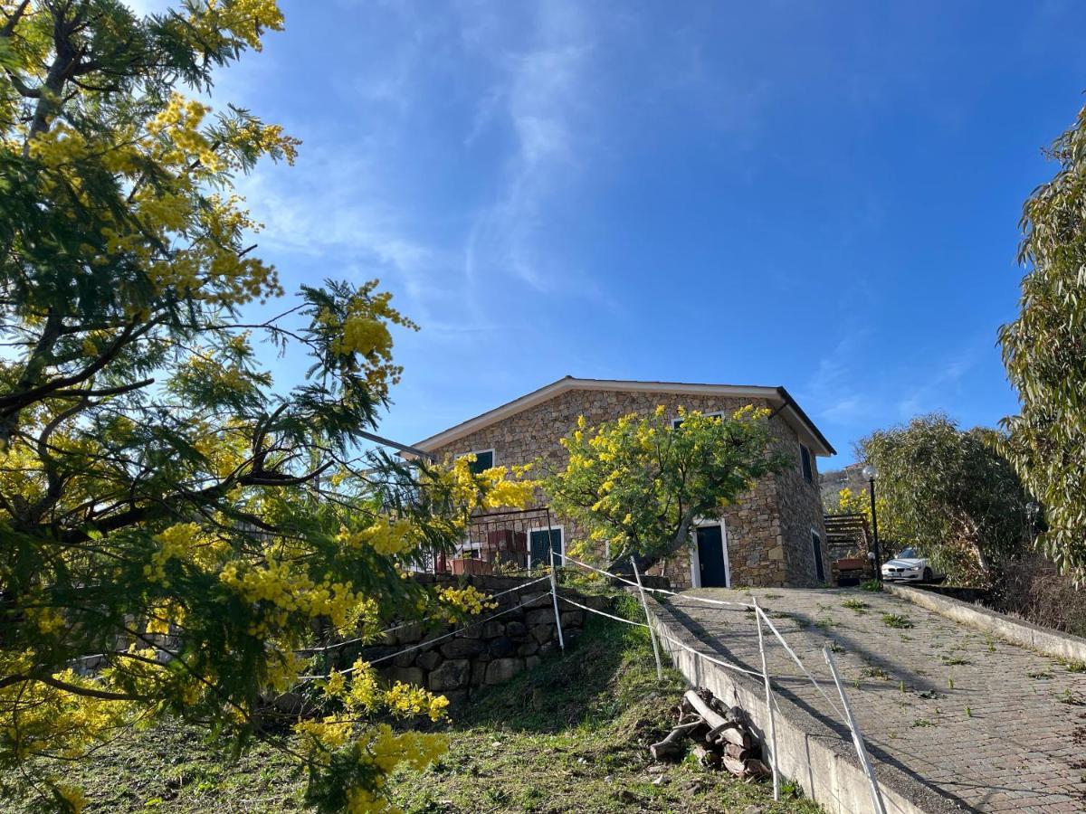Agriturismo Le Mimose Imperia Eksteriør bilde