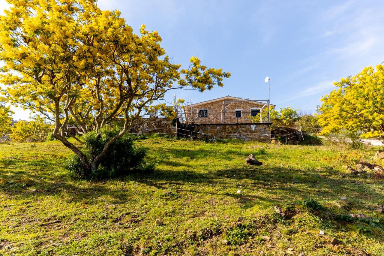 Agriturismo Le Mimose Imperia Eksteriør bilde